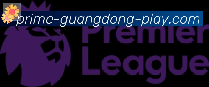 广东体彩合作伙伴